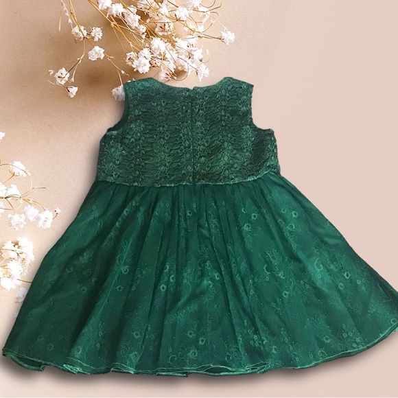 MONIDUE LHUILIER Dress Fit & Flare Emerald Lace Top Sleeveless MSRP 495 Size 20 - Picture 4 of 13